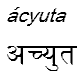 acyuta