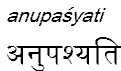 anupasyati