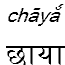 chaya