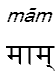 mam
