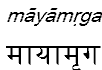 mayamrga