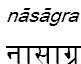 nasagra