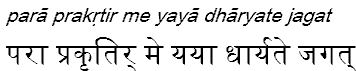 paraprakrtirmeyayadharyatejagat
