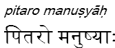 pitaromanusyah