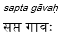 saptagavah