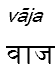 vaja